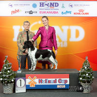 Lumi BIS in Dutch breeds